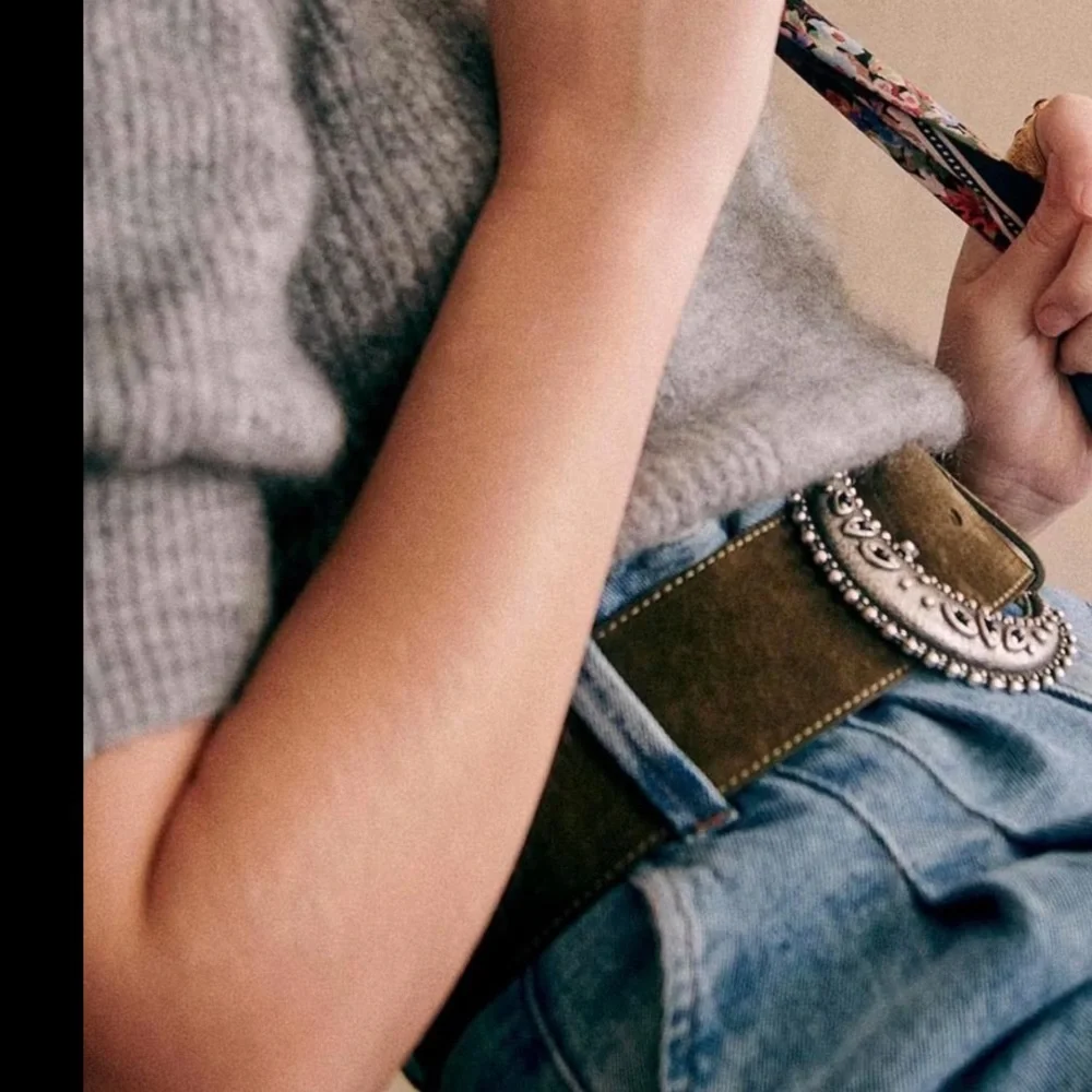 Sezane louve Brown Belt with Silver Buckle - Picture 2 of 5